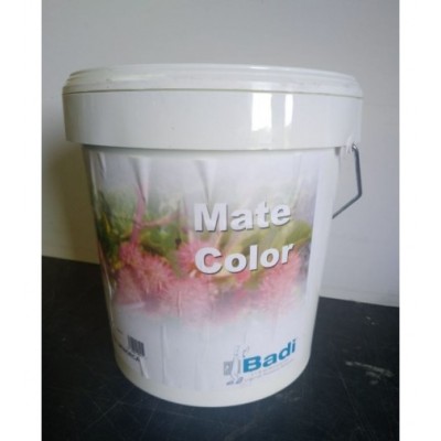 MATE COLOR VERDE BOSQUE 4L***