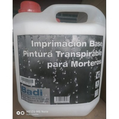 BASE DE PINTURA AL SILICATO Y TRANSPIRABLE SOBRE MORTERO 5L