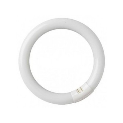 TUBO FLUORESCENTE CIRCULAR 22W 216MM T9 6400K GSC