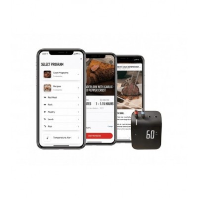 Weber Connect smart Grilling HUB