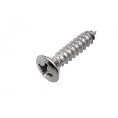 TORNILLO INOX. ROSCHAPA C.AVELLA. B. SIFO 4,8 X 19 mm 